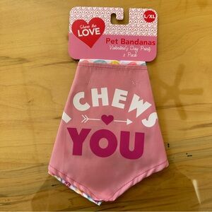 Valentines Day Pink Heart Candy Pet Bandanas - 2 Pack